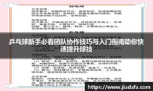 乒乓球新手必看团队协作技巧与入门指南助你快速提升球技